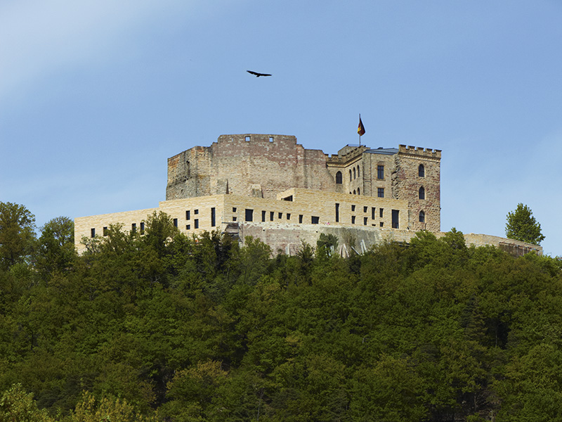 Blick aus dem Tal zum Schloss