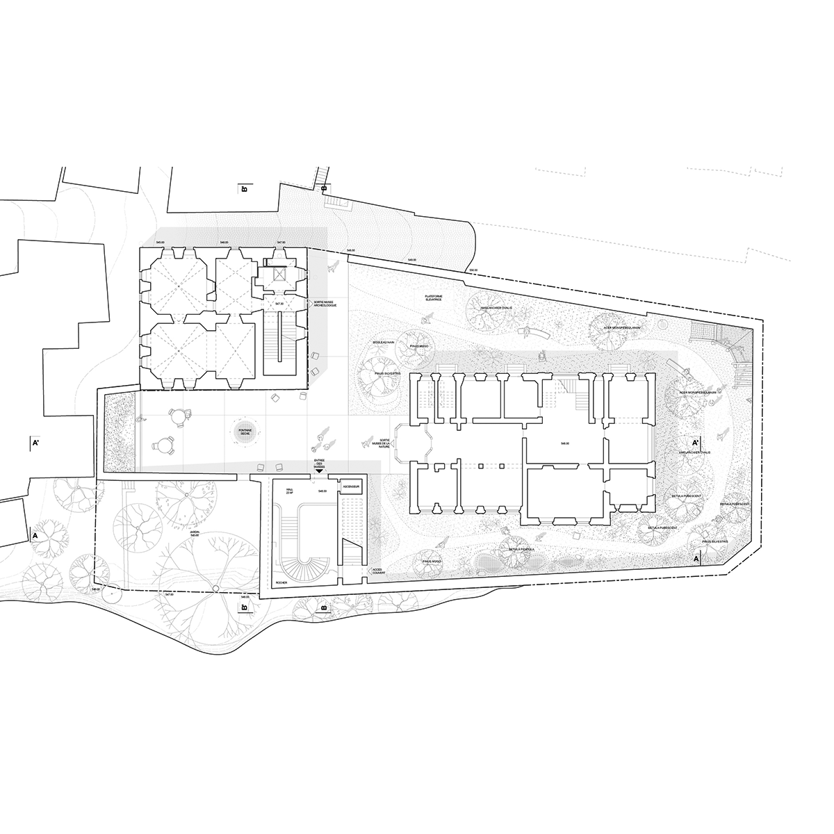 Grundriss